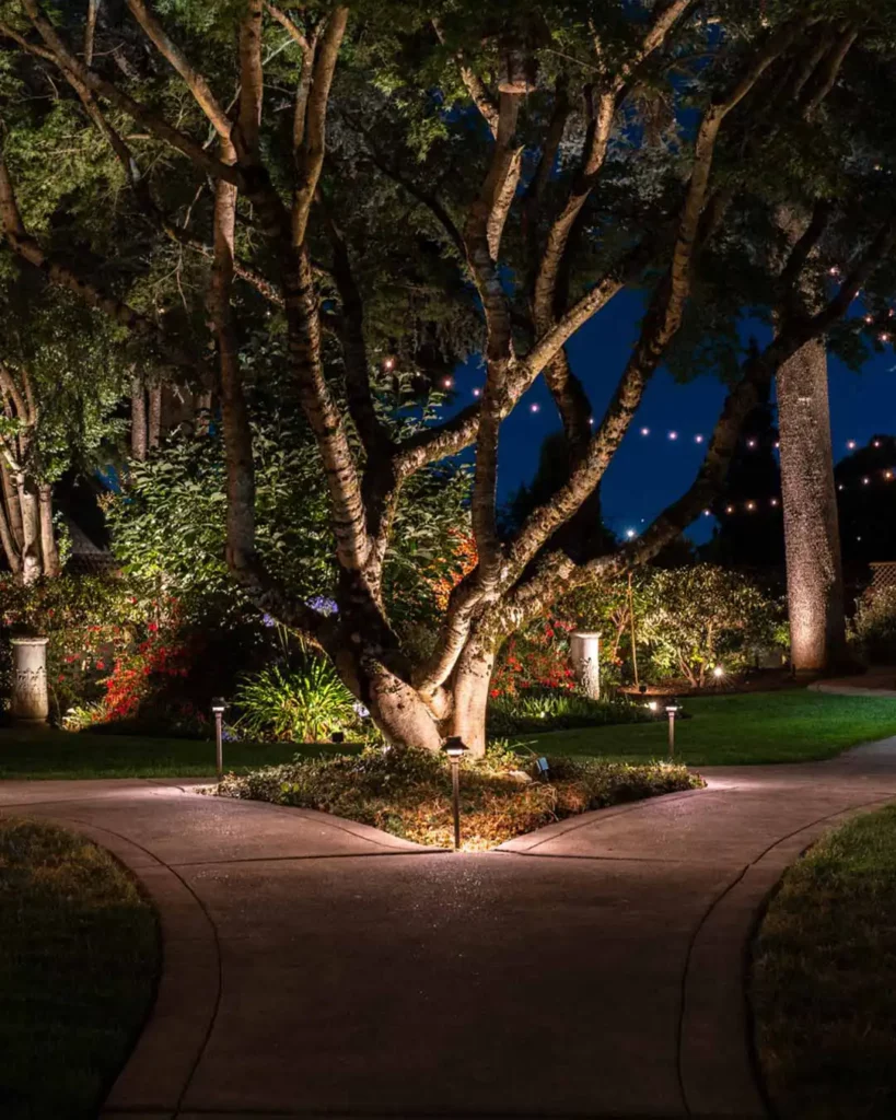 Outdoor lighting underneath tree in garden and along pathways.